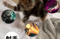 每次打团都瞬移——澳洲lol国服玩(wán)家的日常