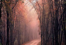 英(yīng)伟达紧急(jí)推送581.47热修複(fù)顯(xiǎn)卡驱動(dòng)补丁(dīng)