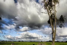 工业提升設(shè)备常见故障排查