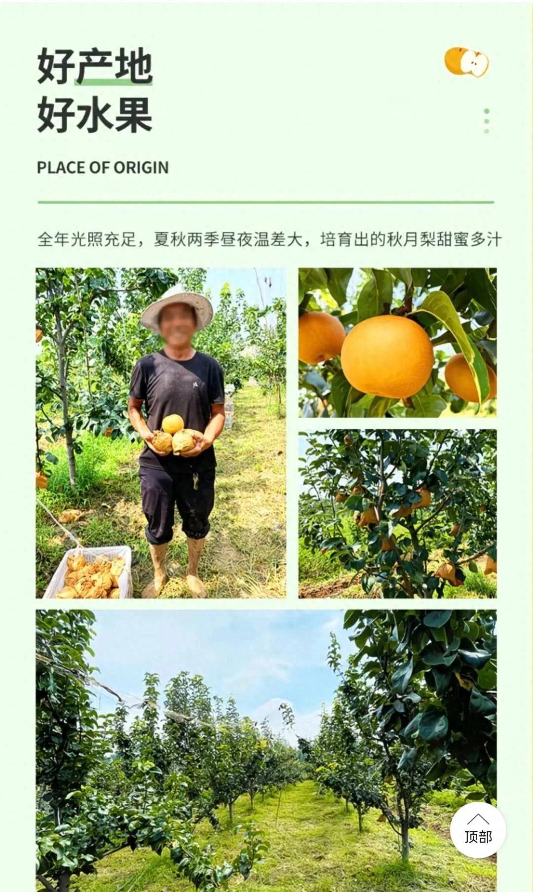 日销8000单,拼多多“秋月梨之王”是如何炼成的?